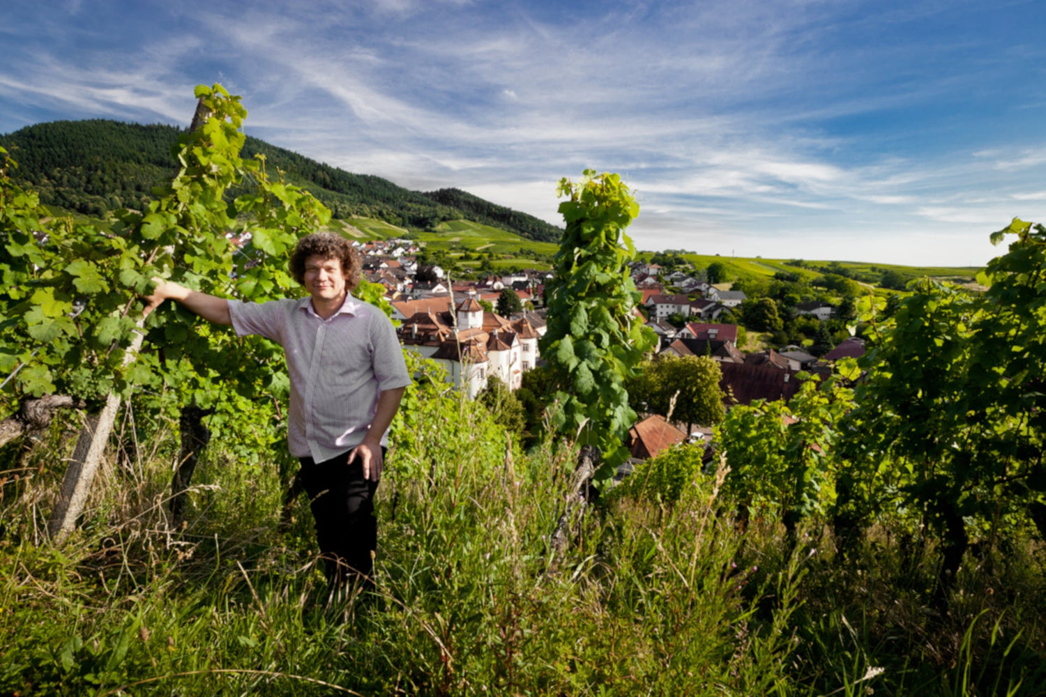 Ein Mann steht in Weinreben.