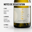 BOLLE CHARDONNAY: une bouche croquante, une rondeur fruitée.