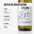 DIVIN SAUVIGNON BLANC 0,25 L: un vif fruité et vif, en petite bouteille!