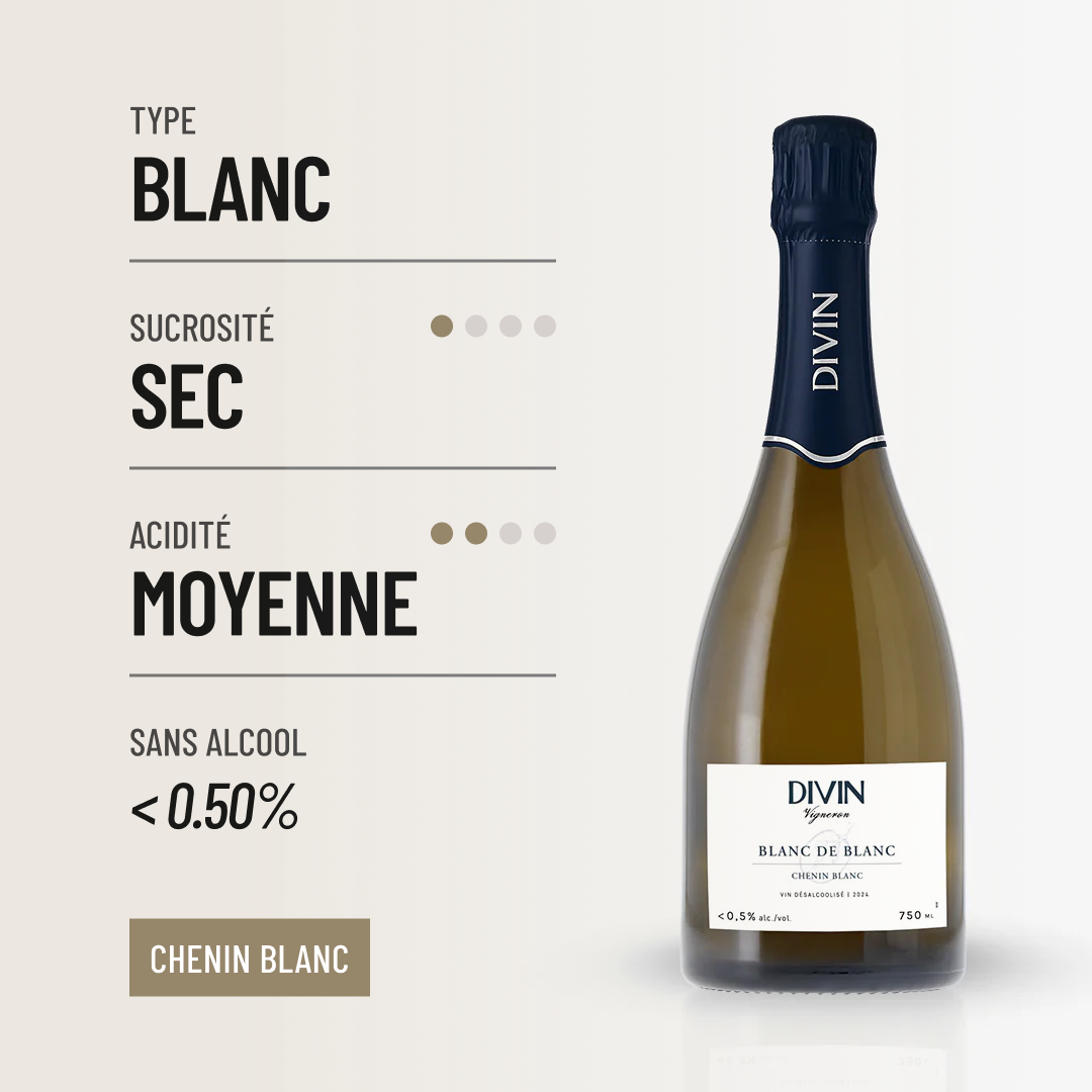 DIVIN VIGNERON BLANC DE BLANCS: un pétillant sans-alcool à l'allure folle.