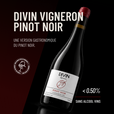 DIVIN VIGNERON PINOT NOIR: une version gastronomique du Pinot Noir.