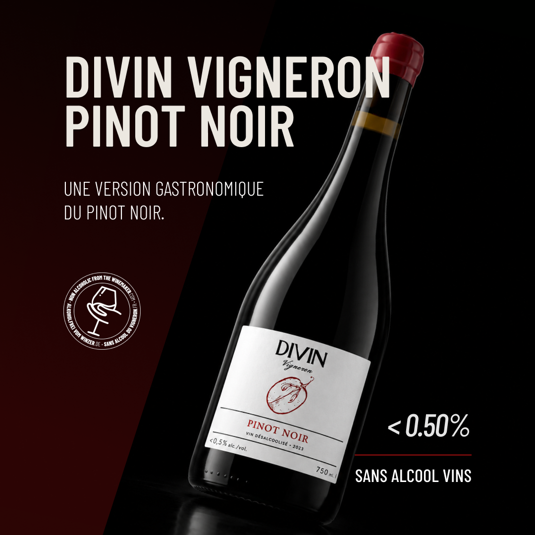 DIVIN VIGNERON PINOT NOIR: une version gastronomique du Pinot Noir.