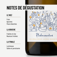 PHÉNOMÈNE: notre premier vin désalcoolisé du cépage qu'on adore dans cette belle région: le Melon!