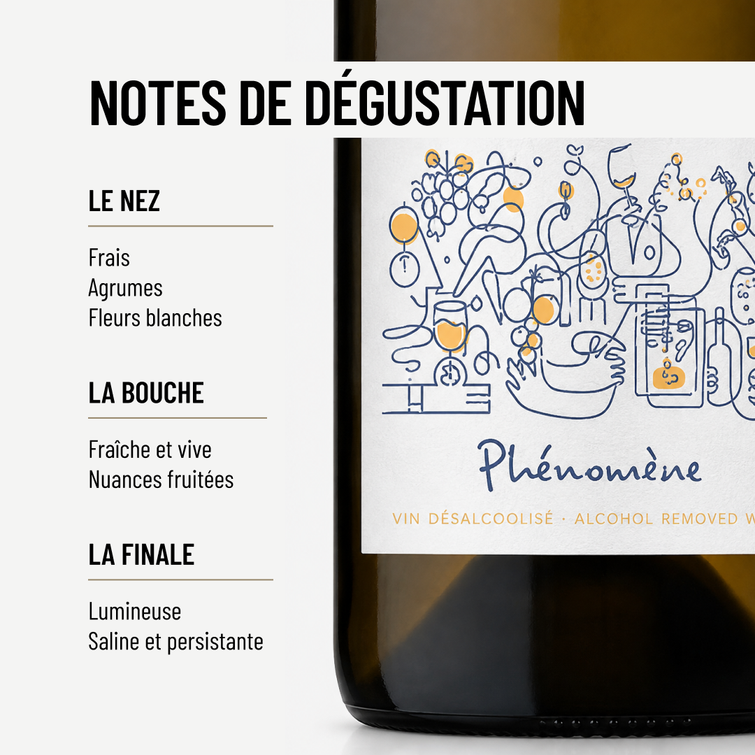 PHÉNOMÈNE: notre premier vin désalcoolisé du cépage qu'on adore dans cette belle région: le Melon!