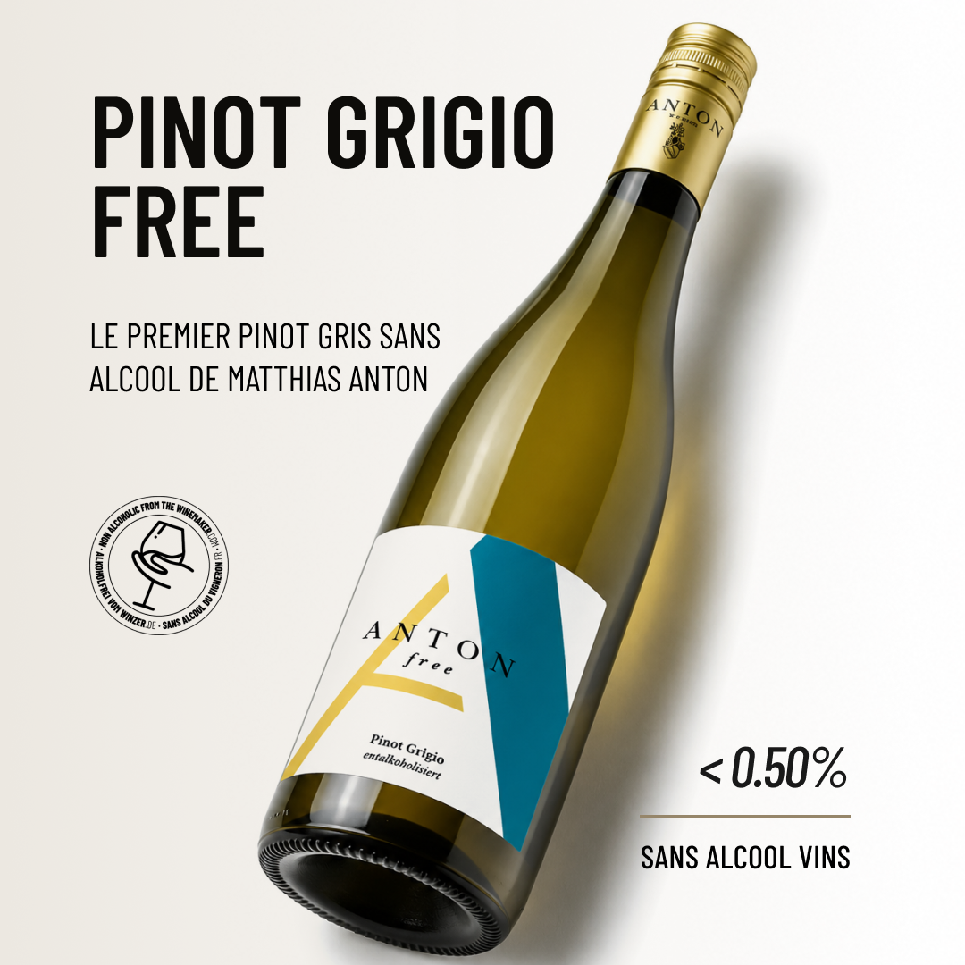 PINOT GRIGIO FREE: le Premier Pinot Gris sans alcool de Matthias Anton
