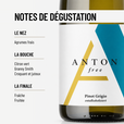 PINOT GRIGIO FREE: le Premier Pinot Gris sans alcool de Matthias Anton