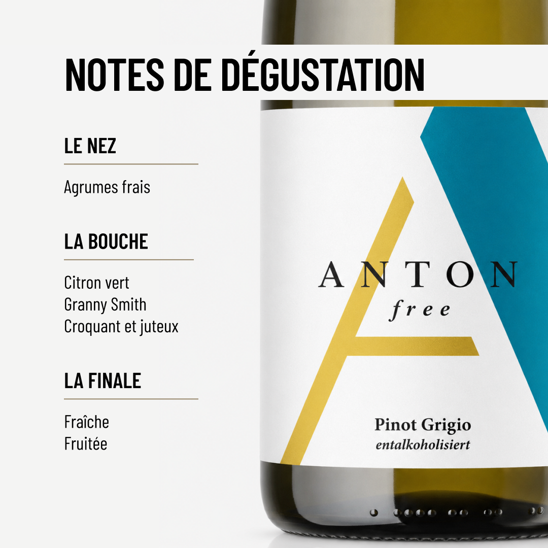 PINOT GRIGIO FREE: le Premier Pinot Gris sans alcool de Matthias Anton