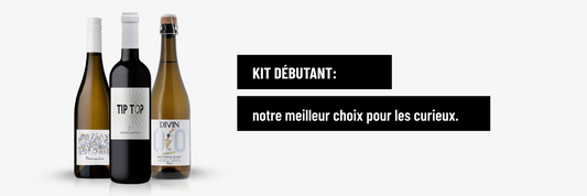 KIT DÉBUTANT : notre meilleur choix pour les curieux.