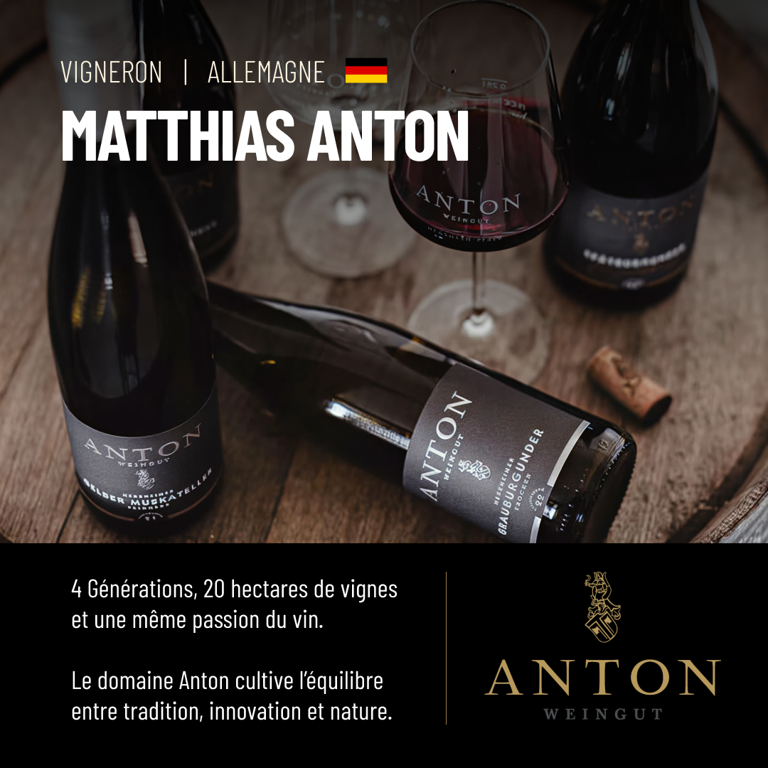 ROSÉ SPARKLING FREE: un magnifique rosé pétillant de la Maison Anton