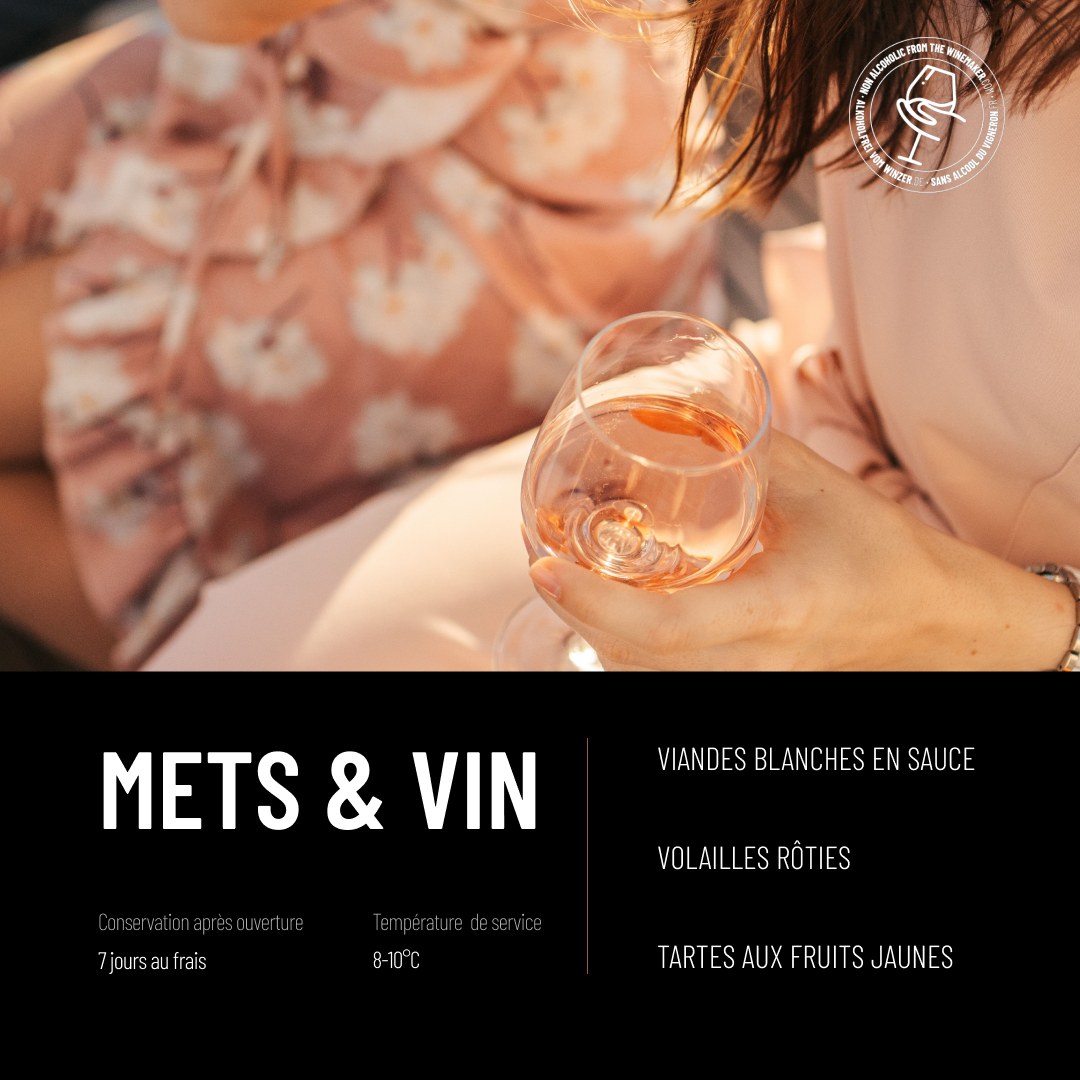 ZERONIMO ROSÉ: un rosé de table comme un festin de fruits rouges.
